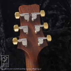 Paul Reed Smith Guitars Santana Brazilian Neck Limited 10Top_6