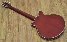 Kz Guitar Works Kz RS/RED SPECIAL Replica_5