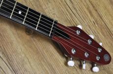 Kz Guitar Works Kz RS/RED SPECIAL Replica_6