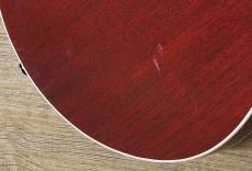 Kz Guitar Works Kz RS/RED SPECIAL Replica_13