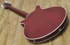 Kz Guitar Works Kz RS/RED SPECIAL Replica_14