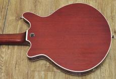 Kz Guitar Works Kz RS/RED SPECIAL Replica_15