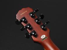 Epiphone Les Paul Baritone ~Worn Brown~_9