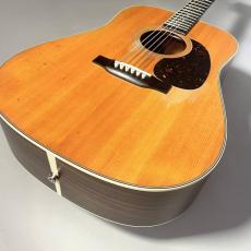 Martin D-28 Street Lege_10