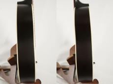 Gibson J-45 Special ♯21196019【ニューモデル】【胴薄ボディ】【サテン仕上げ】_9