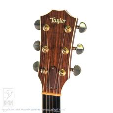 Taylor 810B_7