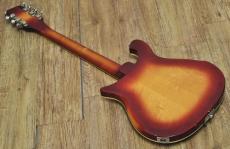 Rickenbacker 660/12TP "Tom Petty Limited Edition"_5
