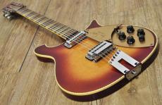 Rickenbacker 660/12TP "Tom Petty Limited Edition"_13