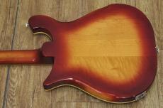 Rickenbacker 660/12TP "Tom Petty Limited Edition"_14