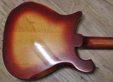 Rickenbacker 660/12TP "Tom Petty Limited Edition"_15