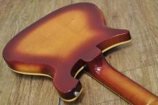 Rickenbacker 660/12TP "Tom Petty Limited Edition"_16