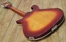 Rickenbacker 660/12TP "Tom Petty Limited Edition"_17