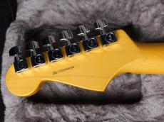Fender American Professional Stratocaster Dark Night_9