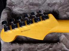 Fender American Professional Stratocaster HSS Black_9