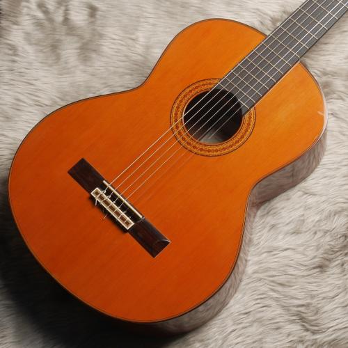 ARIA AC75B