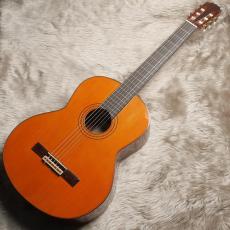 ARIA AC75B_2