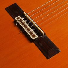 ARIA AC75B_3