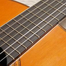 ARIA AC75B_5