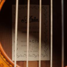 ARIA AC75B_6