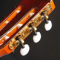 ARIA AC75B_8