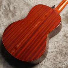 ARIA AC75B_10