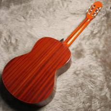 ARIA AC75B_11