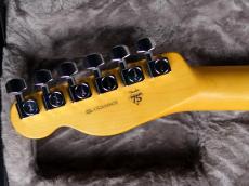 Fender American Professional Telecaster 3-Color Sunburs_9