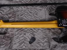 Fender American Professional Telecaster 3-Color Sunburs_8
