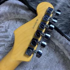 Fender American Professional Stratocaster Dark Night_9