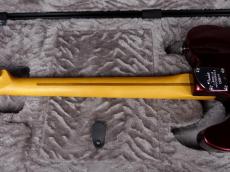 Fender American Professional Telecaster Oxblood_8