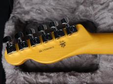 Fender American Professional Telecaster Oxblood_9