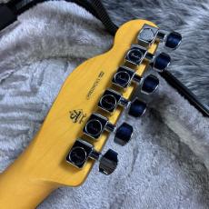 Fender American Professional Telecaster Dark Night_9