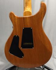 Paul Reed Smith [PRS] CUSTOM 24_2