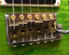 Paul Reed Smith [PRS] CUSTOM 24_5