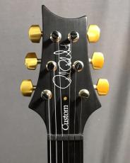 Paul Reed Smith [PRS] CUSTOM 24_8