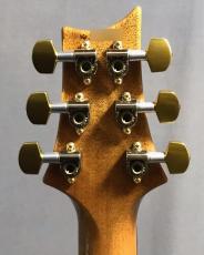 Paul Reed Smith [PRS] CUSTOM 24_9