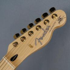 Fender Richie Kotzen Telecaster Brown Sunburst_3