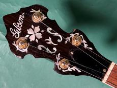 Gibson GRANADA HF GREG RICH_5