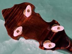 Gibson GRANADA HF GREG RICH_6