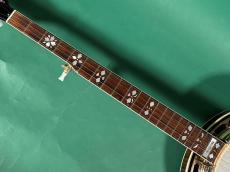 Gibson GRANADA HF GREG RICH_8