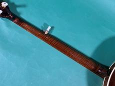 Gibson GRANADA HF GREG RICH_9