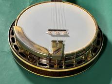 Gibson GRANADA HF GREG RICH_10