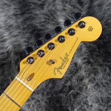 Fender American Professional Stratocaster Oxblood_5