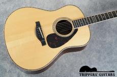 YAMAHA LL36 ARE (2023) 日本製のLL36!ミントコンディションの1本です!_14