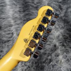 Fender American Professional Hot Shot Telecaster Oxblood_9