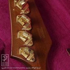 Gibson Firebird 76 Bicentennial_5