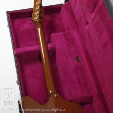 Gibson Firebird 76 Bicentennial_7