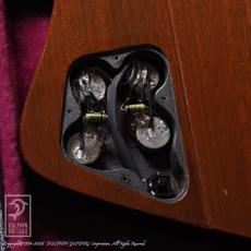 Gibson Firebird 76 Bicentennial_13
