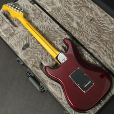 Fender American Professional Stratocaster Rosewood Fingerboard Oxblood_5