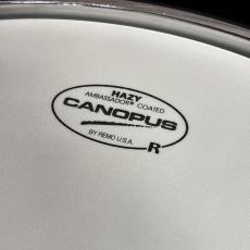 CANOPUS JSB-1455-AEB-MLQ 14"x5.5" YAIBAII Birch Snare Drum [Antique Ebony Matt LQ ]_6